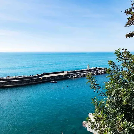 Soprapporto * Camogli